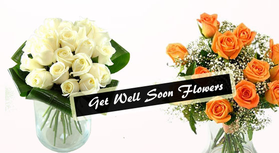 23_get well soon flower