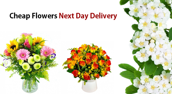 Tips to send the right type of flowers to the funeral
