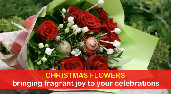 Christmas flowers bringing fragrant joy to your celebrations