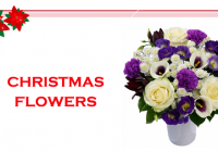 Whom should you send flowers to this Christmas?