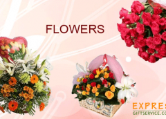 FLOWERS: AN EVERLASTING TRADITION ON CHRISTMAS. / CHRISTMAS FLOWERS:  AN EVER GREEN TRADITION